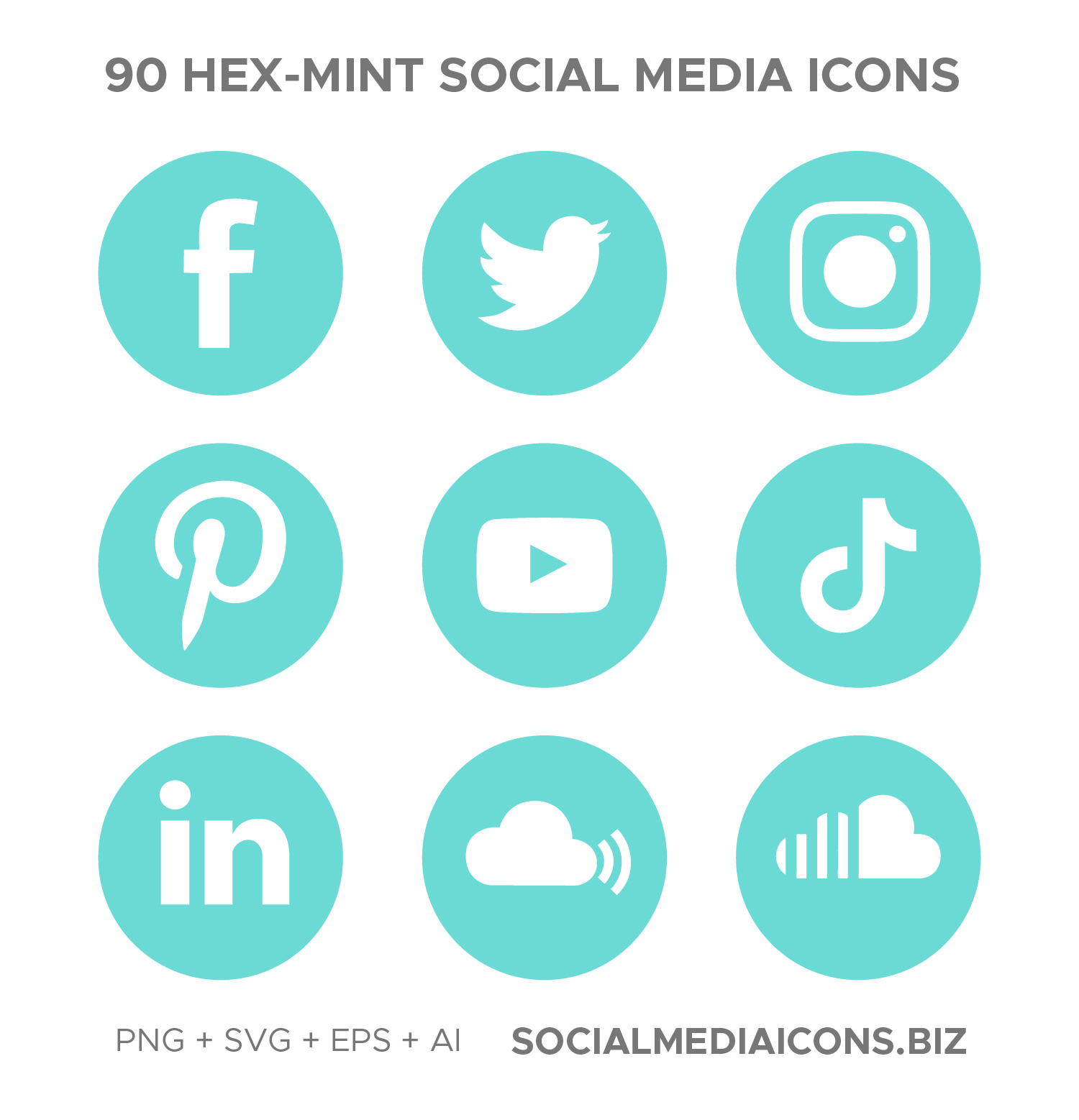 Hexachrome Mint Social Media Icon set