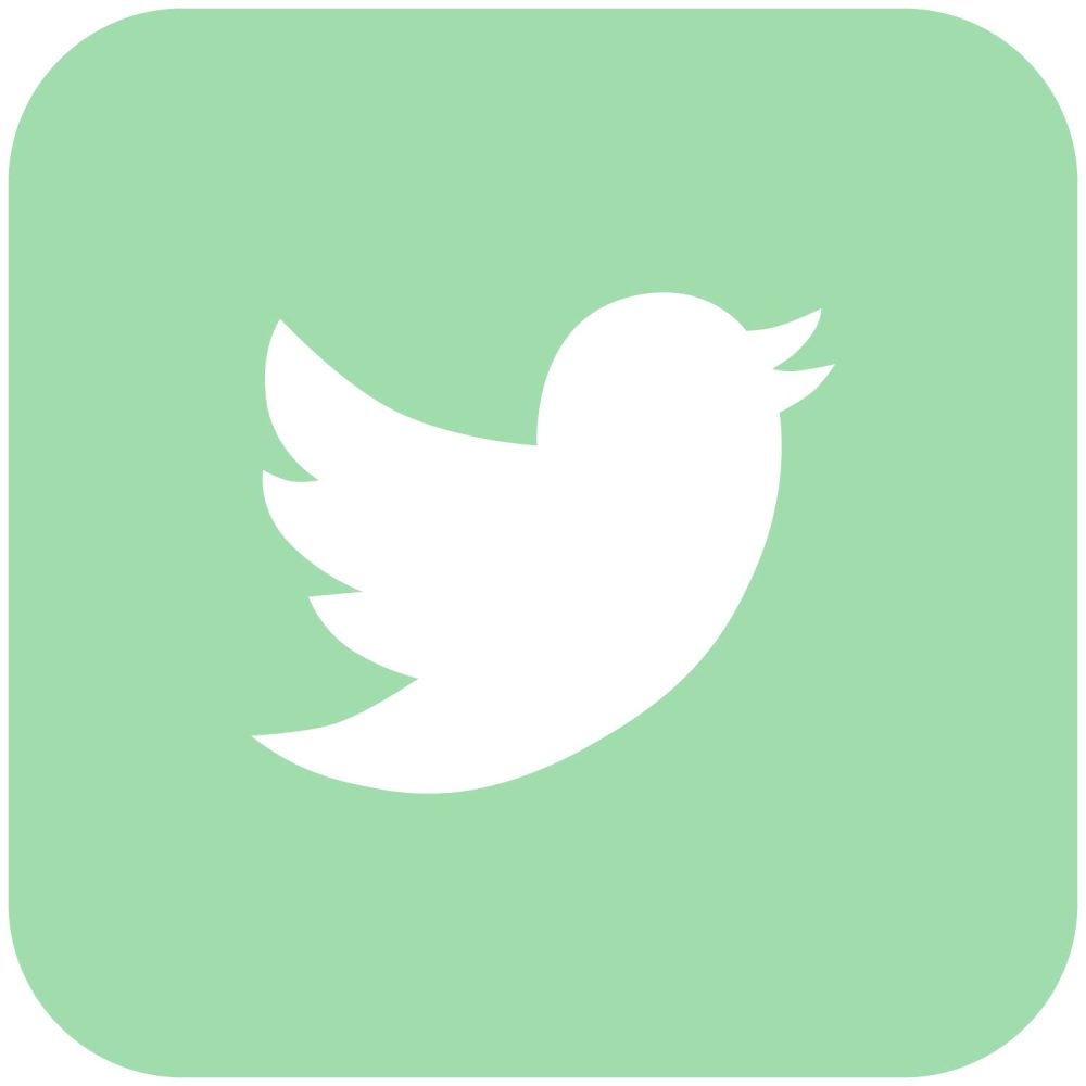Twitter - social media icon