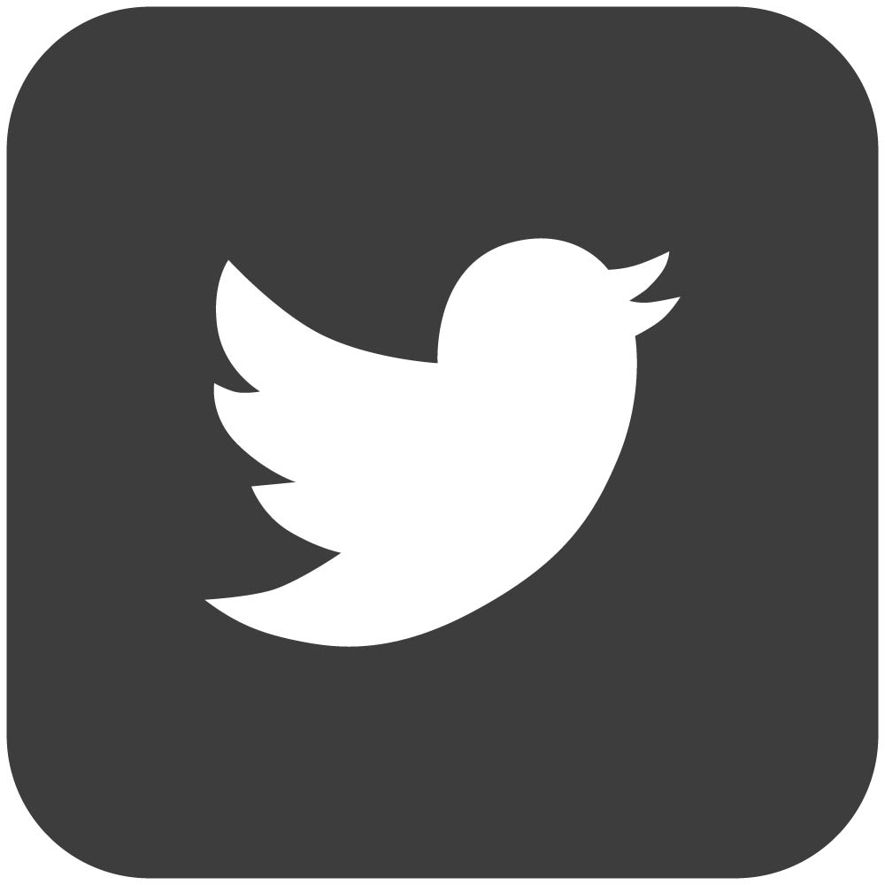 Twitter dark gray social media icon