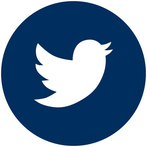 Twitter icon - 90 vector navy social media icons